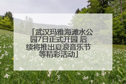 武汉玛雅海滩水公园7日正式开园 后续将推出夏浪音乐节等精彩活动