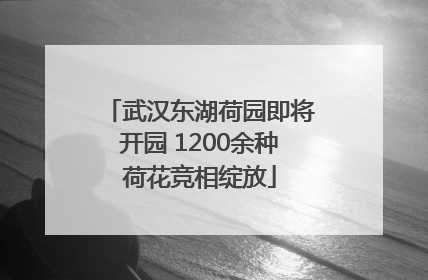武汉东湖荷园即将开园 1200余种荷花竞相绽放
