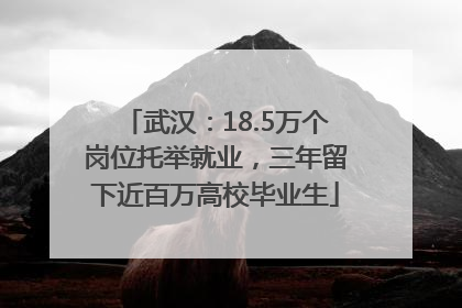 武汉：18.5万个岗位托举就业，三年留下近百万高校毕业生