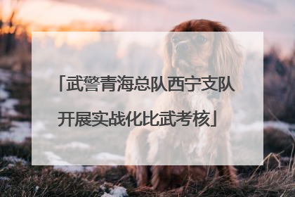 武警青海总队西宁支队开展实战化比武考核