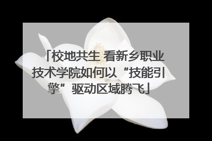 校地共生 看新乡职业技术学院如何以“技能引擎”驱动区域腾飞
