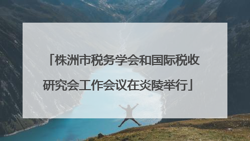 株洲市税务学会和国际税收研究会工作会议在炎陵举行