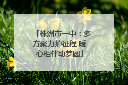 株洲市一中：多方聚力护征程 暖心相伴助梦圆