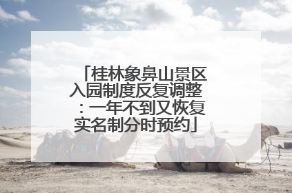 桂林象鼻山景区入园制度反复调整：一年不到又恢复实名制分时预约