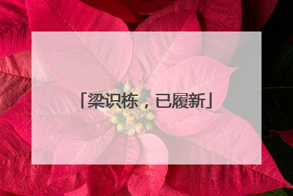 梁识栋，已履新