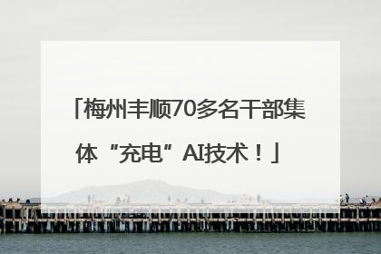 梅州丰顺70多名干部集体“充电”AI技术！