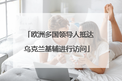 欧洲多国领导人抵达乌克兰基辅进行访问