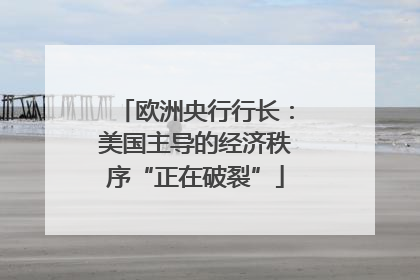 欧洲央行行长：美国主导的经济秩序“正在破裂”