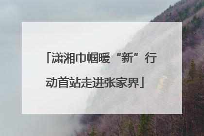 潇湘巾帼暖“新”行动首站走进张家界