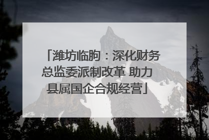 潍坊临朐：深化财务总监委派制改革 助力县属国企合规经营
