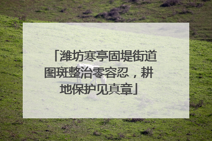 潍坊寒亭固堤街道图斑整治零容忍，耕地保护见真章
