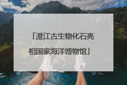澄江古生物化石亮相国家海洋博物馆