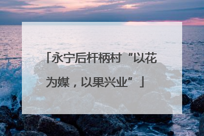 永宁后杆柄村“以花为媒，以果兴业”