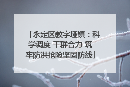 永定区教字垭镇：科学调度 干群合力 筑牢防洪抢险坚固防线