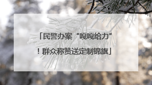 民警办案“嘎嘎给力”！群众称赞送定制锦旗