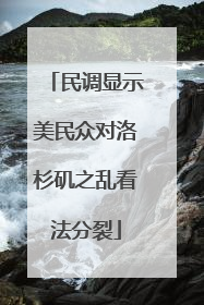 民调显示美民众对洛杉矶之乱看法分裂