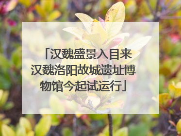 汉魏盛景入目来 汉魏洛阳故城遗址博物馆今起试运行