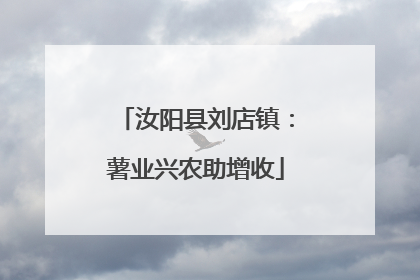 汝阳县刘店镇：薯业兴农助增收