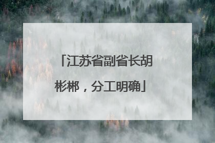 江苏省副省长胡彬郴，分工明确