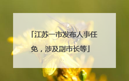 江苏一市发布人事任免，涉及副市长等