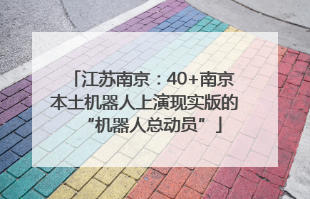 江苏南京：40+南京本土机器人上演现实版的“机器人总动员”