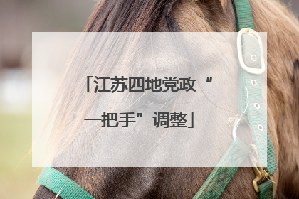 江苏四地党政“一把手”调整