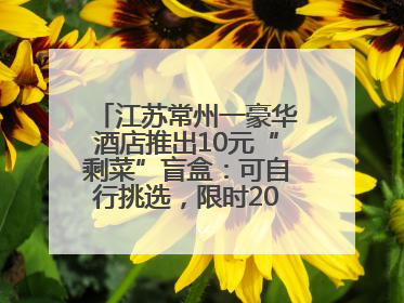 江苏常州一豪华酒店推出10元“剩菜”盲盒：可自行挑选，限时20分钟，仅限外带