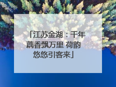 江苏金湖：千年藕香飘万里 荷韵悠悠引客来