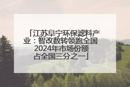 江苏阜宁环保滤料产业：智改数转领跑全国 2024年市场份额占全国三分之一