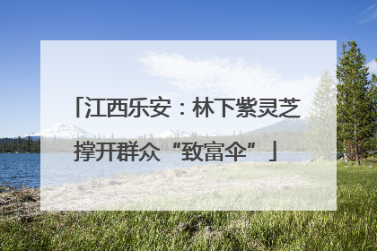 江西乐安：林下紫灵芝撑开群众“致富伞”
