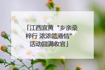 江西宜黄“乡亲桑梓行 浓浓赣港情”活动圆满收官