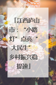 江西庐山市：“小路灯”点亮“大民生” 乡村振兴稳提速