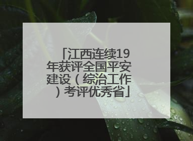 江西连续19年获评全国平安建设（综治工作）考评优秀省
