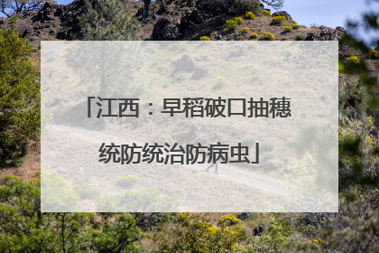 江西：早稻破口抽穗 统防统治防病虫