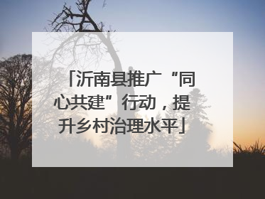 沂南县推广“同心共建”行动，提升乡村治理水平