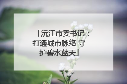 沅江市委书记：打通城市脉络 守护碧水蓝天