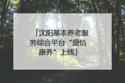 沈阳基本养老服务综合平台“盛情康养”上线