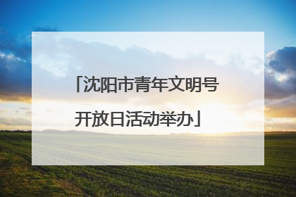 沈阳市青年文明号开放日活动举办