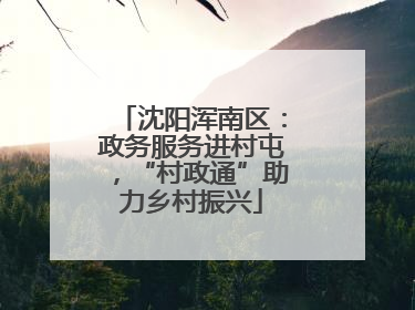 沈阳浑南区：政务服务进村屯，“村政通”助力乡村振兴