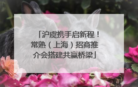 沪虞携手启新程！常熟（上海）招商推介会搭建共赢桥梁