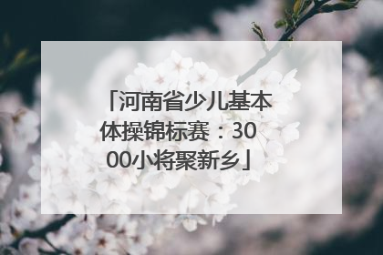 河南省少儿基本体操锦标赛：3000小将聚新乡