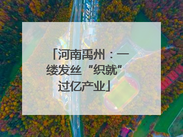 河南禹州：一缕发丝“织就”过亿产业