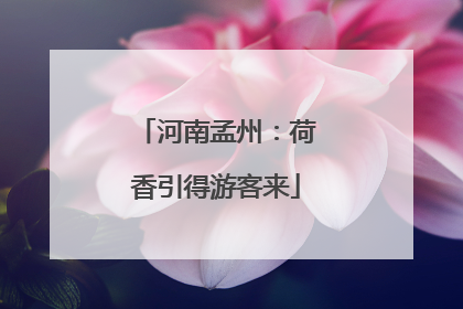 河南孟州：荷香引得游客来