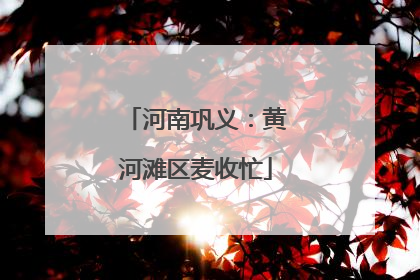 河南巩义：黄河滩区麦收忙