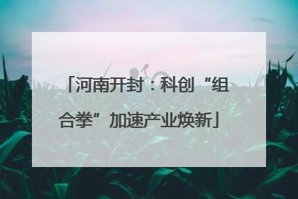 河南开封：科创“组合拳”加速产业焕新