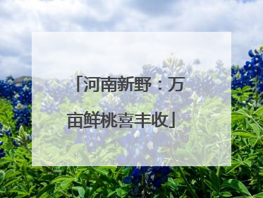 河南新野：万亩鲜桃喜丰收