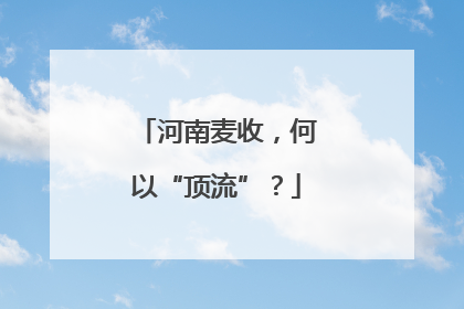 河南麦收，何以“顶流”？