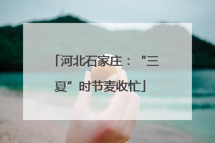 河北石家庄：“三夏”时节麦收忙