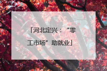 河北定兴：“零工市场”助就业