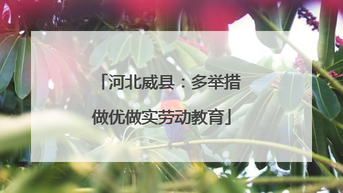 河北威县：多举措做优做实劳动教育